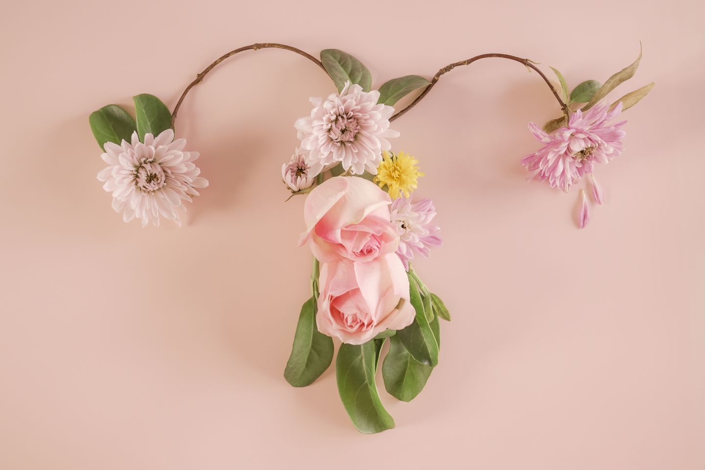 Preventive Gynecologic Care Every Woman Should Know